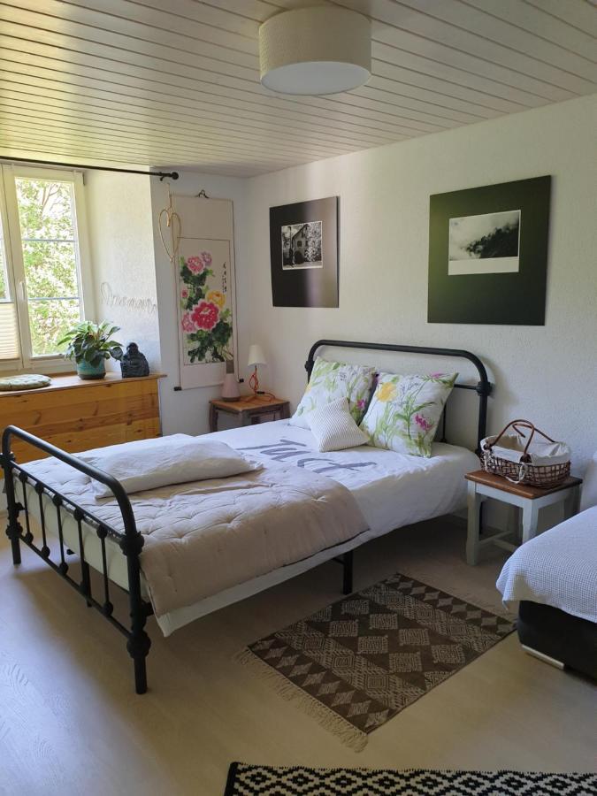 Agreable Chambre D'Hotes, Au Calme, Dans La Nature Roches Dış mekan fotoğraf