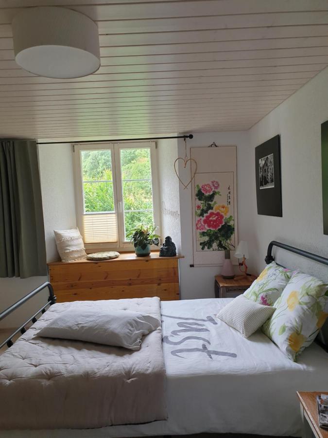 Agreable Chambre D'Hotes, Au Calme, Dans La Nature Roches Dış mekan fotoğraf
