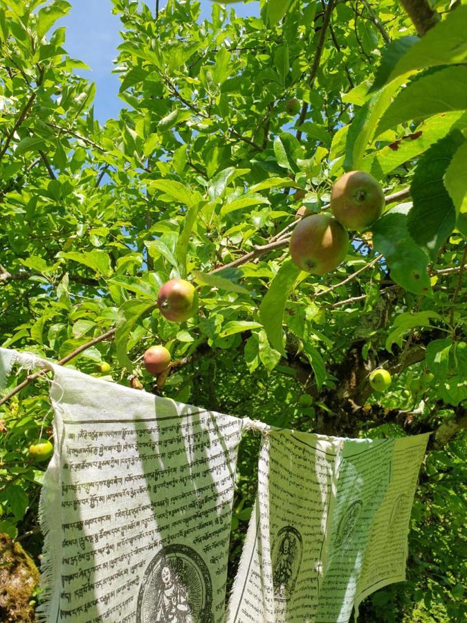 Agreable Chambre D'Hotes, Au Calme, Dans La Nature Roches Dış mekan fotoğraf