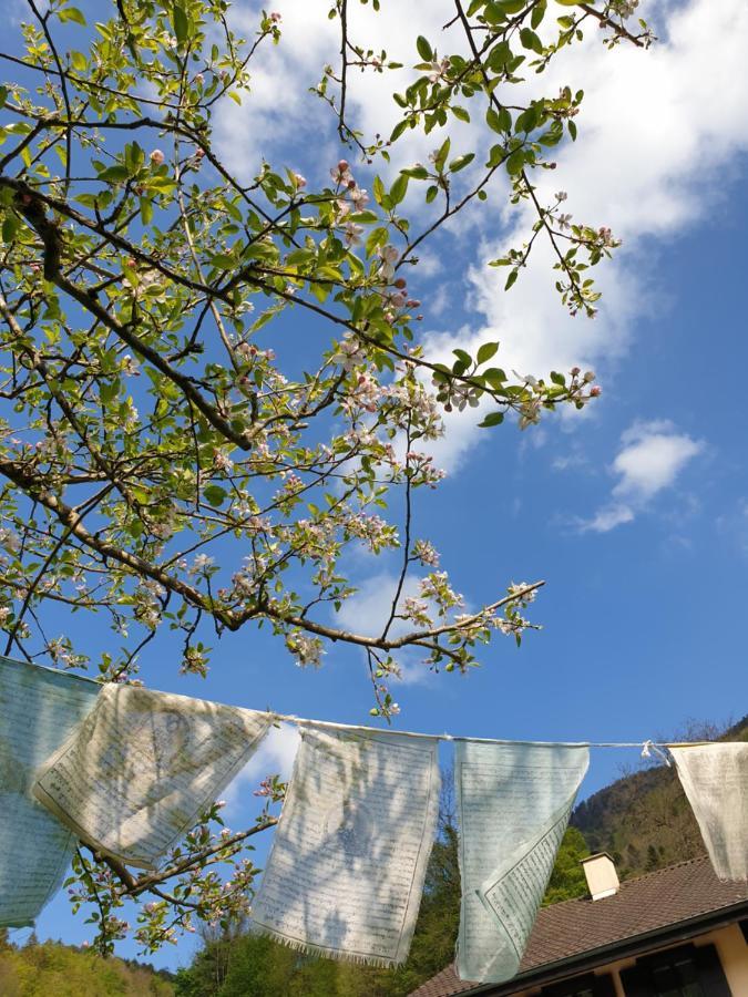 Agreable Chambre D'Hotes, Au Calme, Dans La Nature Roches Dış mekan fotoğraf