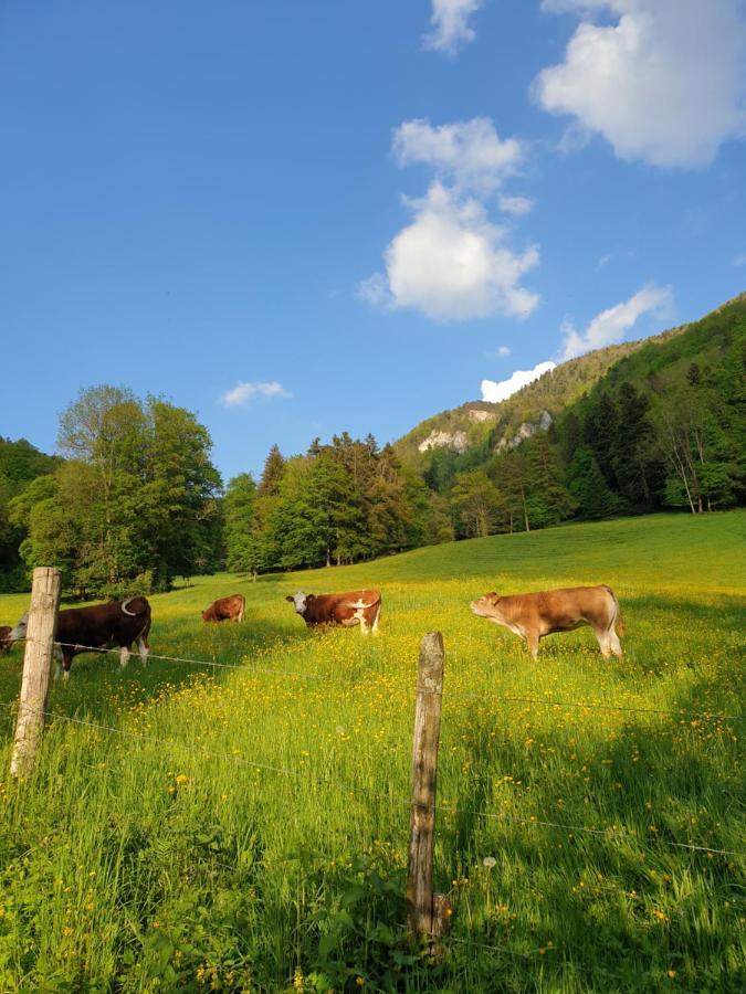 Agreable Chambre D'Hotes, Au Calme, Dans La Nature Roches Dış mekan fotoğraf