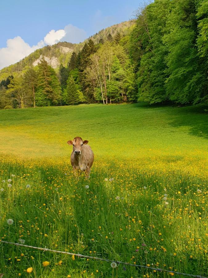 Agreable Chambre D'Hotes, Au Calme, Dans La Nature Roches Dış mekan fotoğraf